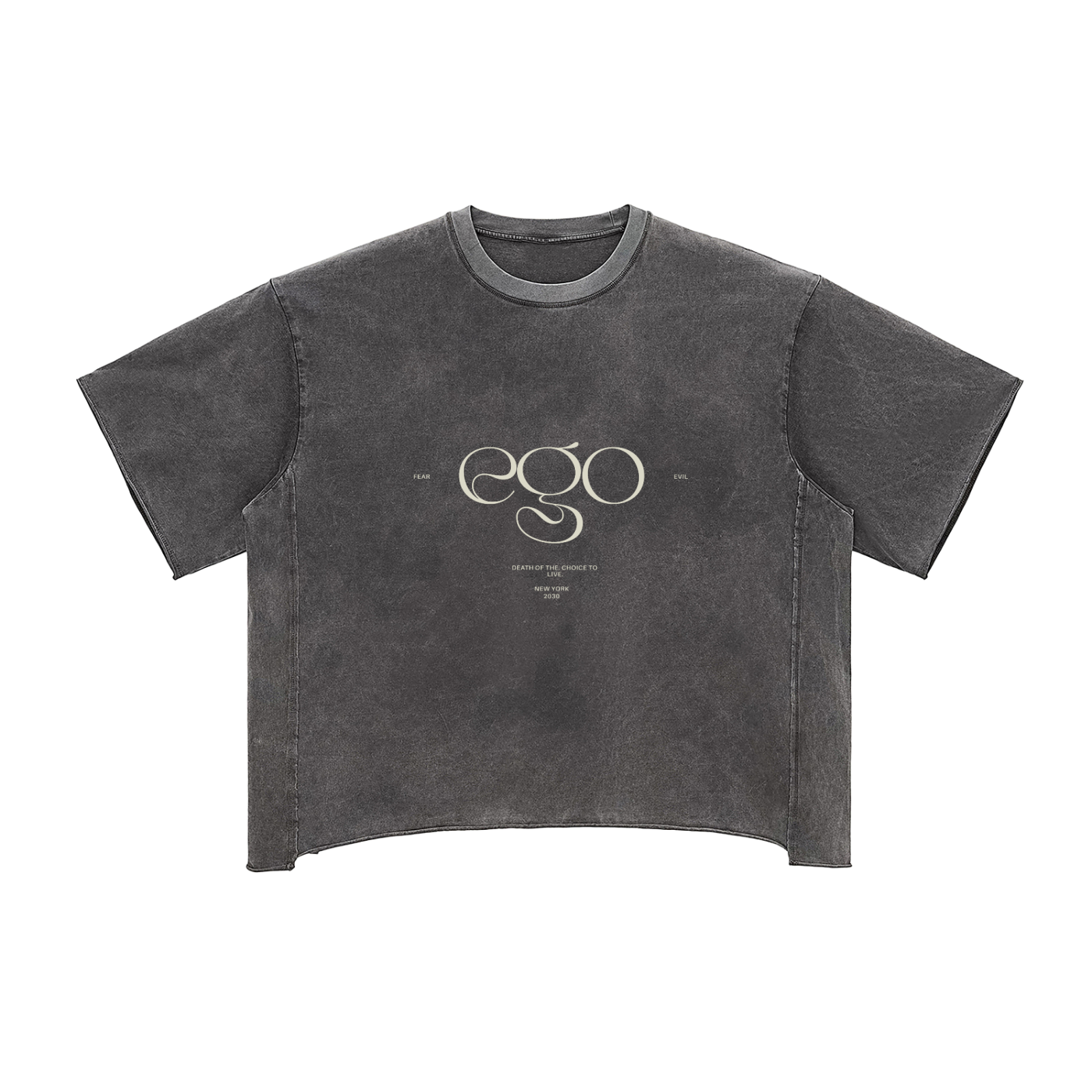 Raw Edge Snow Washed Boxy T-Shirt